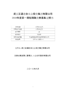 實業投資與資本市場融合 武漢正通聯合2018年第一期短期融資券分析